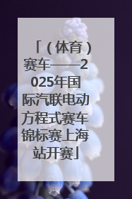 （体育）赛车——2025年国际汽联电动方程式赛车锦标赛上海站开赛