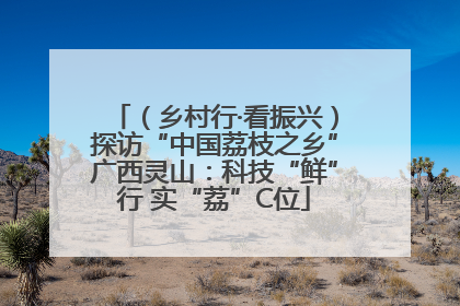 （乡村行·看振兴）探访“中国荔枝之乡”广西灵山：科技“鲜”行 实“荔”C位