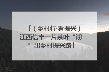 （乡村行·看振兴）江西信丰一片茶叶“沏”出乡村振兴路