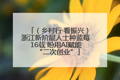 （乡村行·看振兴）浙江新阶层人士种蓝莓16载 盼用AI赋能“二次创业”