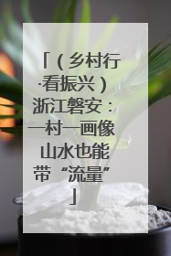 （乡村行·看振兴）浙江磐安：一村一画像 山水也能带“流量”