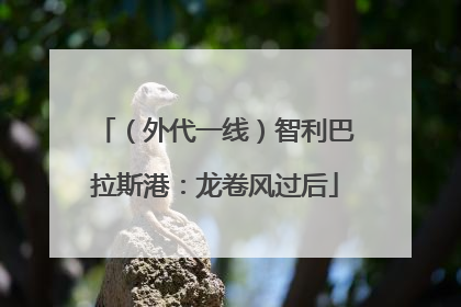 （外代一线）智利巴拉斯港：龙卷风过后
