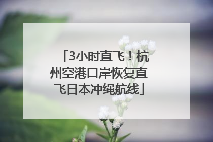 3小时直飞！杭州空港口岸恢复直飞日本冲绳航线