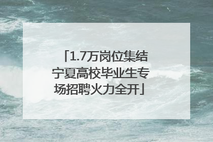 1.7万岗位集结 宁夏高校毕业生专场招聘火力全开