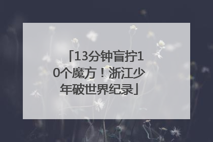 13分钟盲拧10个魔方！浙江少年破世界纪录