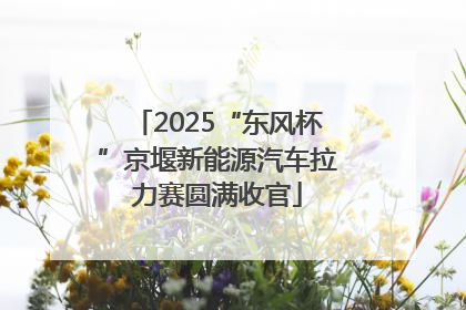 2025“东风杯”京堰新能源汽车拉力赛圆满收官