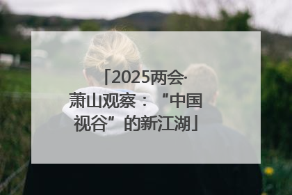 2025两会·萧山观察：“中国视谷”的新江湖