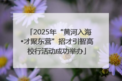2025年“黄河入海•才聚东营”招才引智高校行活动成功举办