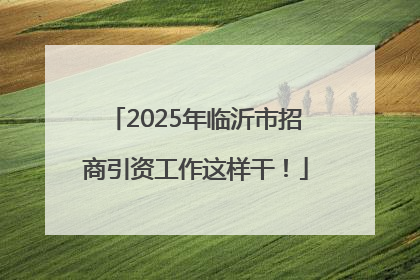 2025年临沂市招商引资工作这样干！