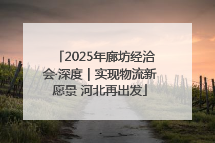 2025年廊坊经洽会·深度｜实现物流新愿景 河北再出发