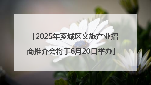 2025年芗城区文旅产业招商推介会将于6月20日举办
