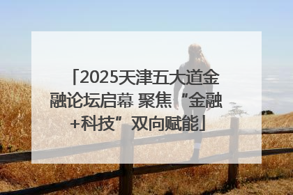 2025天津五大道金融论坛启幕 聚焦“金融+科技”双向赋能