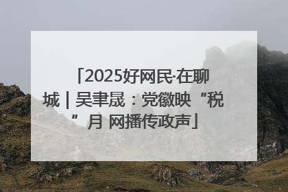 2025好网民·在聊城｜吴聿晟：党徽映“税”月 网播传政声