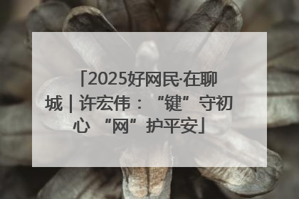 2025好网民·在聊城｜许宏伟：“键”守初心 “网”护平安