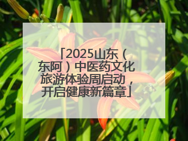 2025山东（东阿）中医药文化旅游体验周启动，开启健康新篇章
