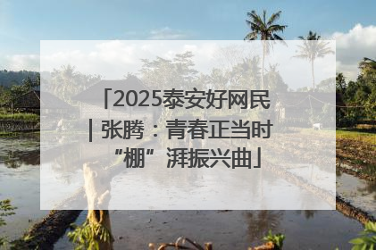 2025泰安好网民｜张腾：青春正当时 “棚”湃振兴曲