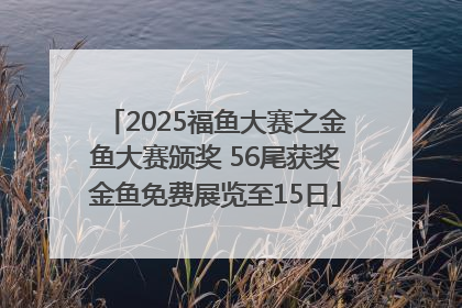 2025福鱼大赛之金鱼大赛颁奖 56尾获奖金鱼免费展览至15日