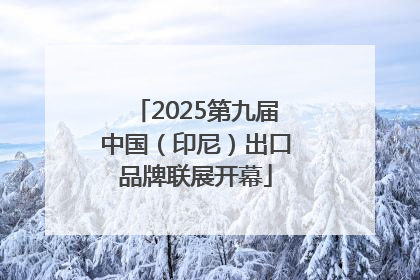 2025第九届中国（印尼）出口品牌联展开幕
