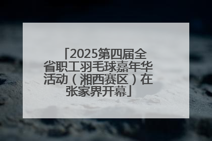 2025第四届全省职工羽毛球嘉年华活动（湘西赛区）在张家界开幕