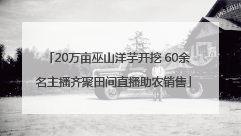 20万亩巫山洋芋开挖 60余名主播齐聚田间直播助农销售