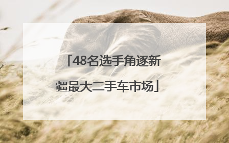 48名选手角逐新疆最大二手车市场