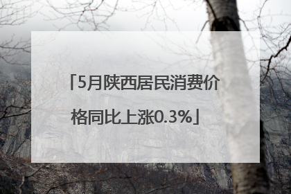 5月陕西居民消费价格同比上涨0.3%