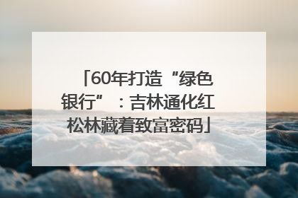 60年打造“绿色银行”：吉林通化红松林藏着致富密码