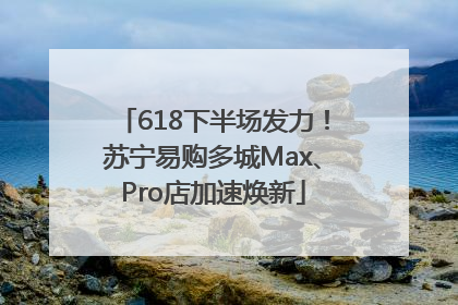 618下半场发力！苏宁易购多城Max、Pro店加速焕新