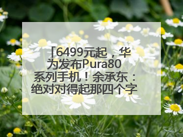 6499元起，华为发布Pura80系列手机！余承东：绝对对得起那四个字！华为近十年研发投入12490亿元