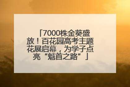 7000株金葵盛放！百花园高考主题花展启幕，为学子点亮“魁首之路”