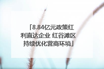 8.84亿元政策红利直达企业 红谷滩区持续优化营商环境