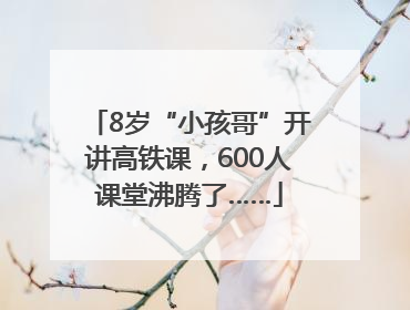 8岁“小孩哥”开讲高铁课，600人课堂沸腾了……
