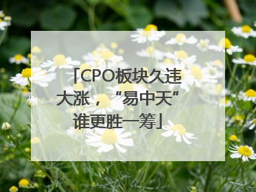 CPO板块久违大涨，“易中天”谁更胜一筹