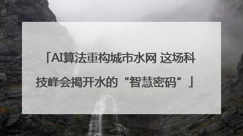 AI算法重构城市水网 这场科技峰会揭开水的“智慧密码”