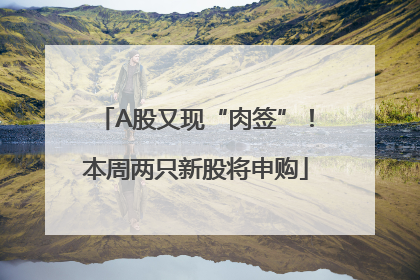 A股又现“肉签”！本周两只新股将申购