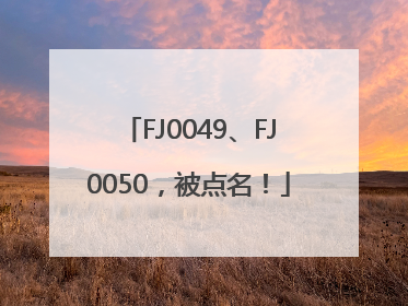 FJ0049、FJ0050，被点名！