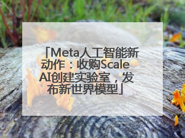Meta人工智能新动作：收购Scale AI创建实验室，发布新世界模型