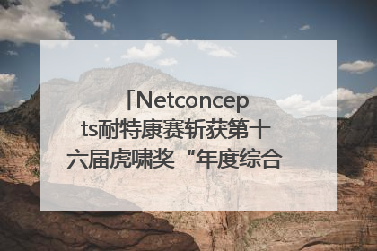Netconcepts耐特康赛斩获第十六届虎啸奖“年度综合服务商”大奖