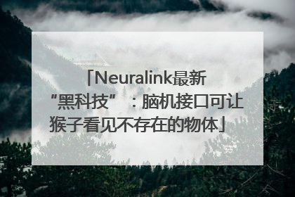 Neuralink最新“黑科技”：脑机接口可让猴子看见不存在的物体