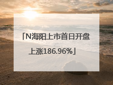 N海阳上市首日开盘上涨186.96%